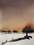 IMG_3759.jpeg
