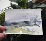 IMG_7689.jpeg