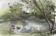 IMG_0676.jpeg