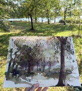 IMG_2096.jpeg