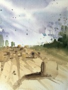 IMG_2463.jpeg
