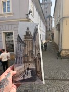 IMG_4583.jpeg