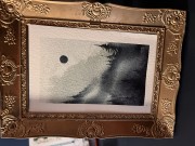 IMG_2267.jpeg