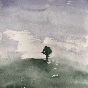 IMG_8305.jpeg