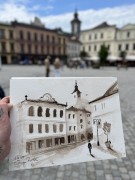 IMG_3524.jpeg