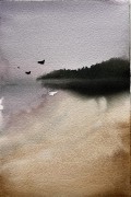 IMG_7915.jpeg