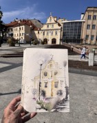 IMG_6574.jpeg