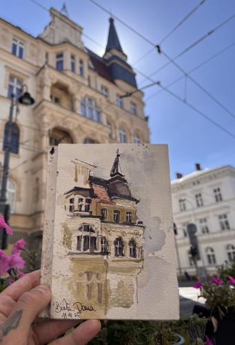 IMG_6772.jpeg