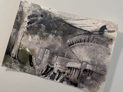 IMG_7126.jpeg