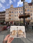 IMG_7890.jpeg