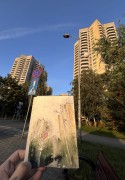 IMG_8902.jpeg
