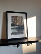 IMG_1123.jpeg